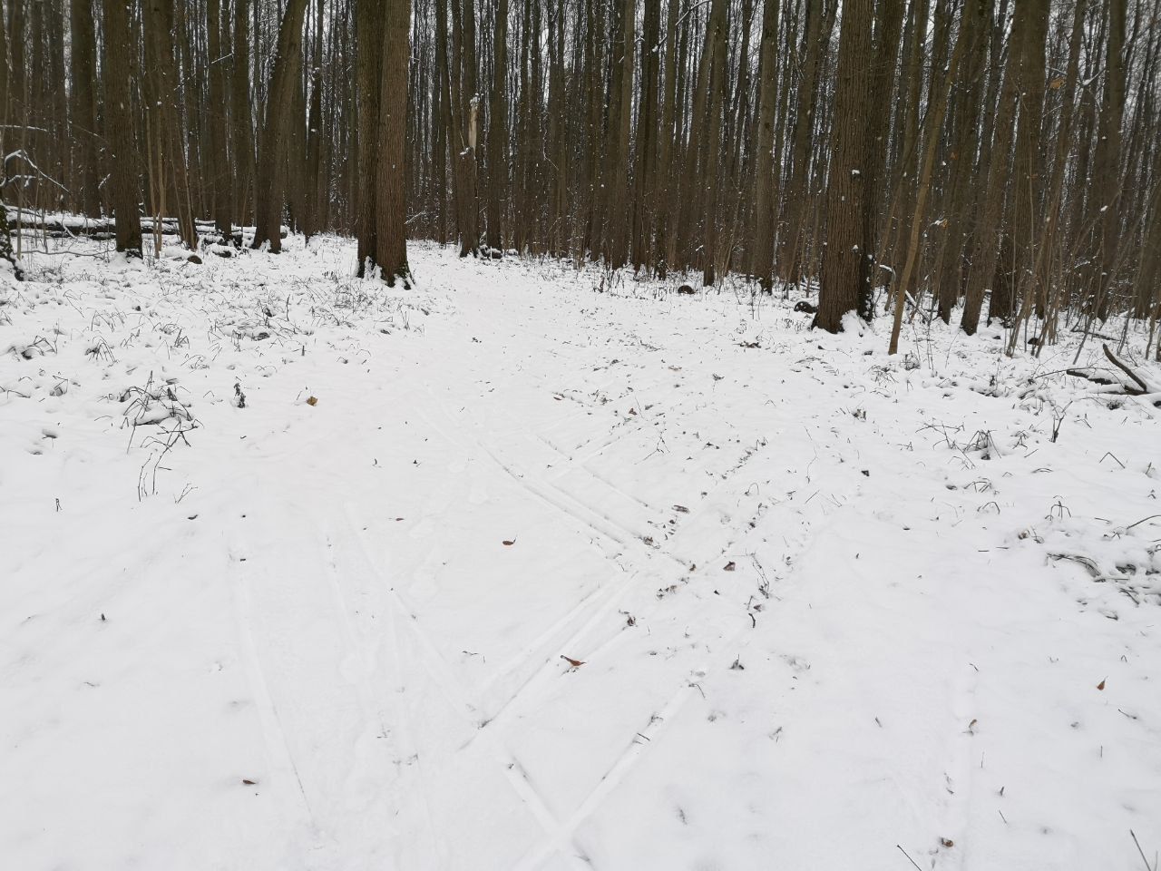 Сухой снег бывает. В Калининград бывает снег. Грязный снег на войне вид сверху. Свинцовый снег. Какой бывает снег для лыж.