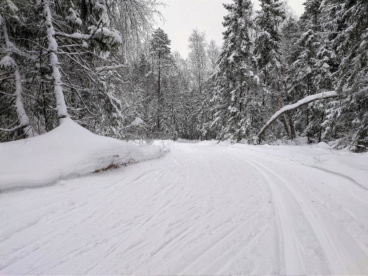 Снежок бывает. Лыжня в лесу. Лыжня Мороз и солнце. Зима валит снег 2560*1600. Снег зима трасса лыжников Россия.