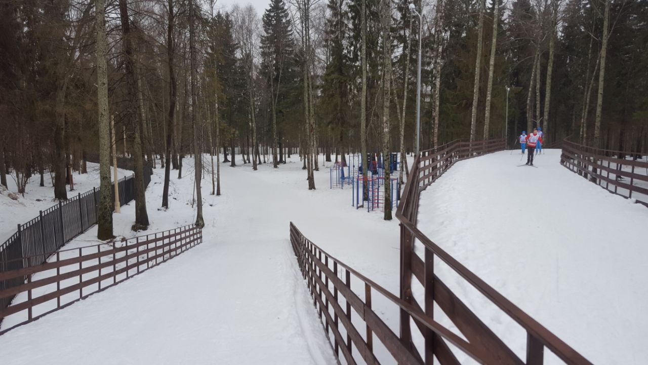 Лыжня в полежаевском парке